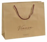 Reusable Paper Retail Bags