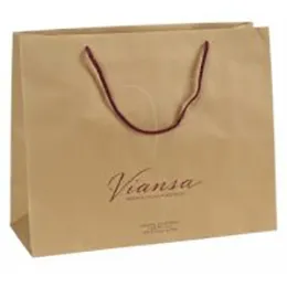 Reusable Paper Retail Bags