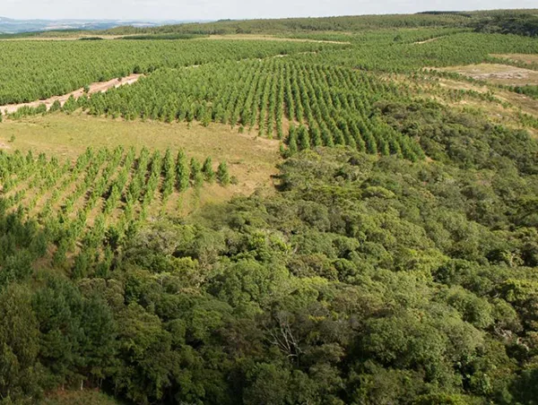 ECOLOGICAL CORRIDORS