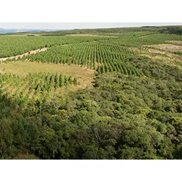 ECOLOGICAL CORRIDORS