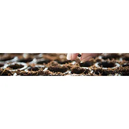 OUR RAW MATERIAL