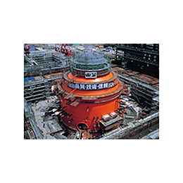 Primary containment vessel for BWR nuclear power plant