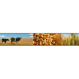 Commodities and Animal Feed