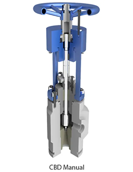 Blowdown Valves