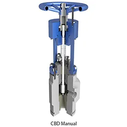 Blowdown Valves