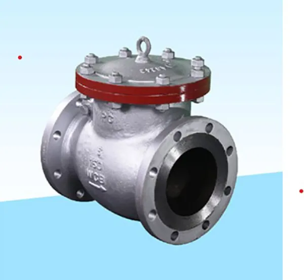 Check Valve