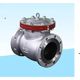 Check Valve