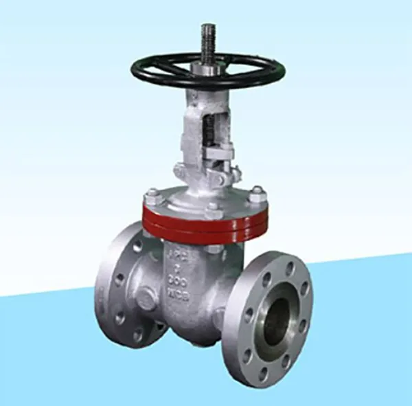 Gate Valve