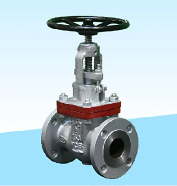 Globe Valve