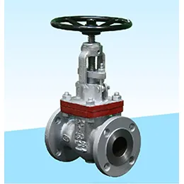 Globe Valve