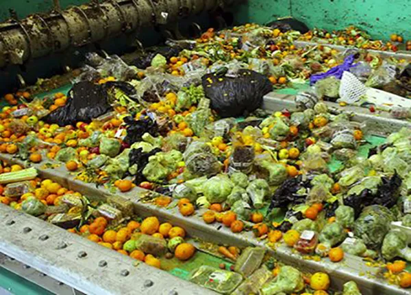 Organic material collection