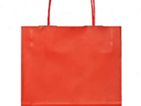 Paper carrier bags with twisted cord