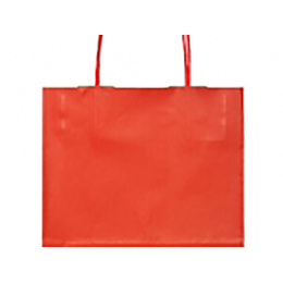 Paper carrier bags with twisted cord