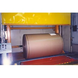Roll Hoists