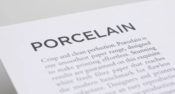 PORCELAIN WITH PAPERGARD™