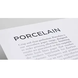 PORCELAIN WITH PAPERGARD™