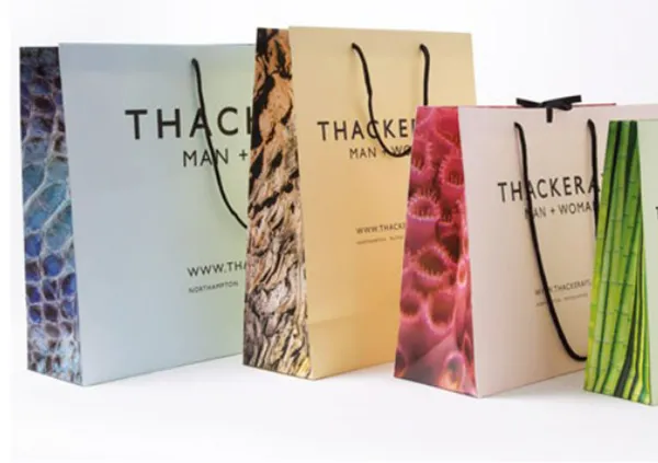 Luxury Art Paper Bags
