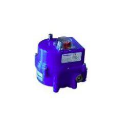 Electric Actuators