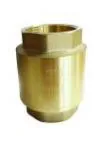 Spring Loaded Check (Non-Return) Valves