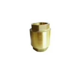 Spring Loaded Check (Non-Return) Valves