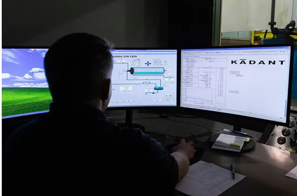 SYSTEM CONTROLS