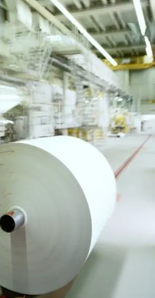 Thermal papers