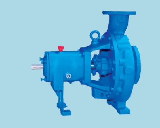 ACH ANSI Pumps