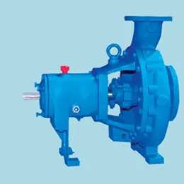 ACH ANSI Pumps