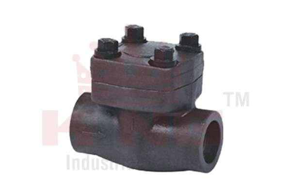 FORGED CHECK VALVE