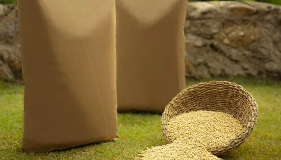 Kraft paper
