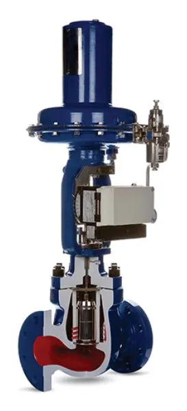 GLOBE & ANGLE CONTROL VALVES