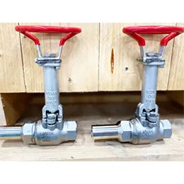 INSTRUMENT ISOLATION BALL VALVES