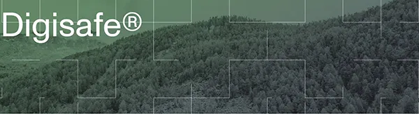 Digisafe