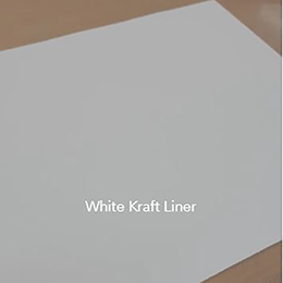 White Kraft Liner
