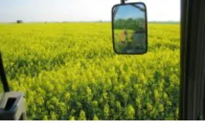 BIOFUELS