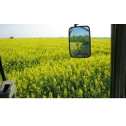 BIOFUELS