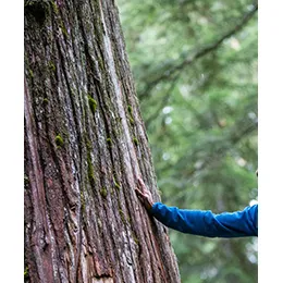 Chain of Custody
