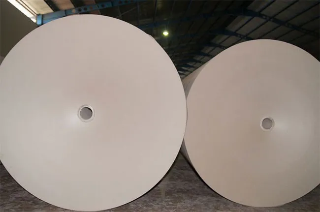 Paper Rolls 