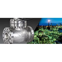 Globe Valves