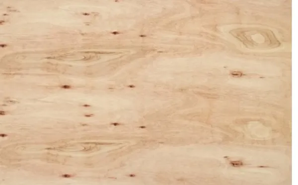 EUCALYPTUS CDX