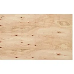 EUCALYPTUS CDX