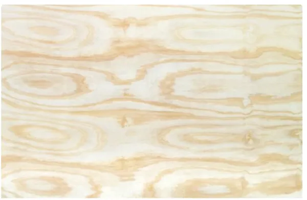 PINE BCX