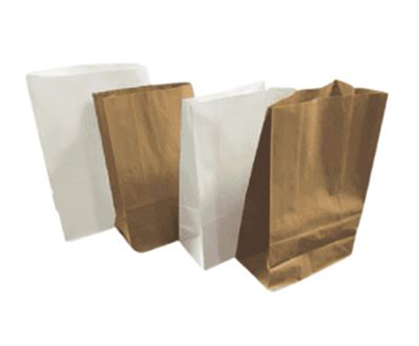 Grab Bags (Plain Brown or White)