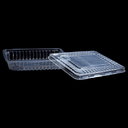 Plastic Box with Lid -32 MM
