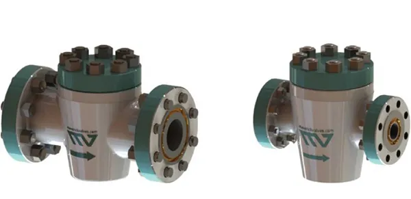 Check Valve