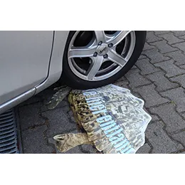 MDV Jetprint