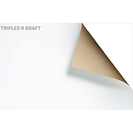 Triplex R Kraft