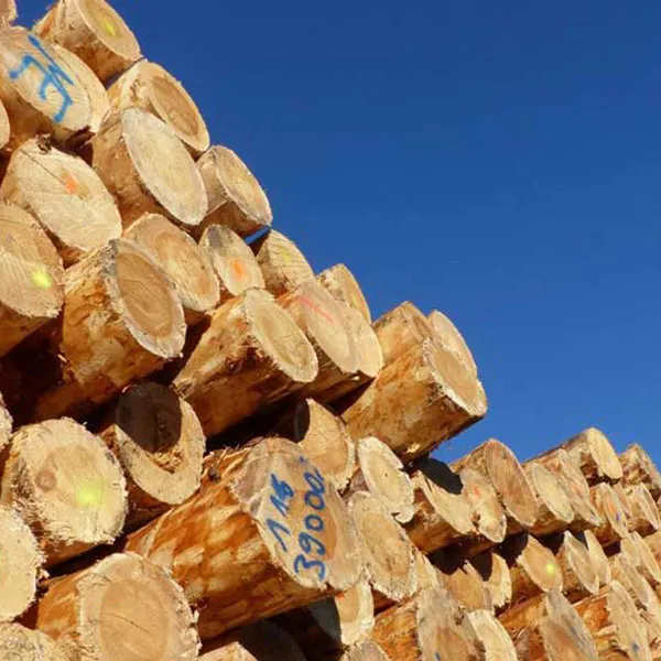 Timber Products