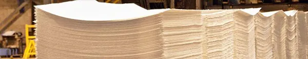 Softwood and Hardwood Kraft Pulp