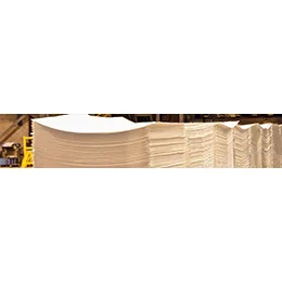 Softwood and Hardwood Kraft Pulp